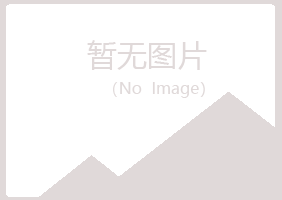 鹤岗南山映秋采矿有限公司